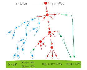 A branching tree representing the particle production