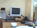 Webcam-timelapse 00.gif