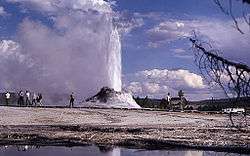 Geyser of water and steam erupting from an ashen cone.