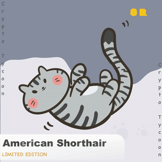 Nft American Shorthair #247
