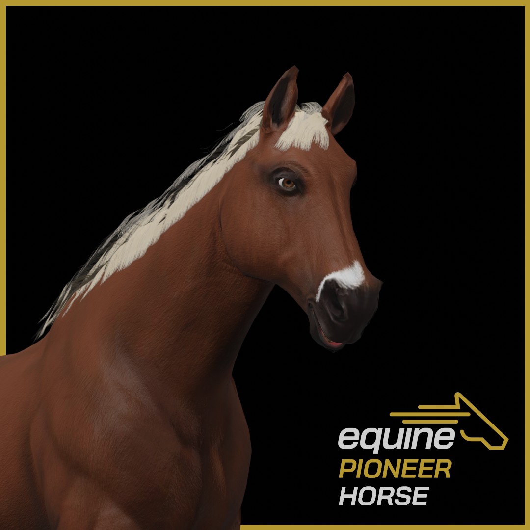 Equine Pioneer Horse [00045]