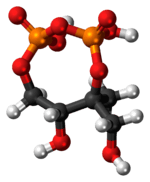 Ball-and-stick model of the 2-C-methyl-D-erythritol-2,4-cyclodiphosphate molecule