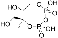 Skeletal formula of 2-C-methyl-D-erythritol-2,4-cyclodiphosphate