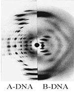 DNA X-ray patterns