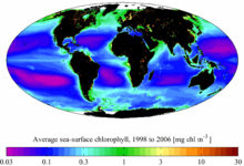 A map of mean surface chlorophyll for the period 1998–2006. NASA SeaWiFS.