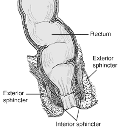 Rubbing Pussy With Cock