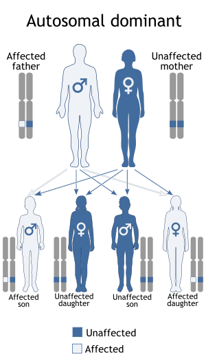 Autosomal dominant mode of inheritance