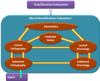 A flow chart representation of the BIA+ model for bilingual language processing including the word identification and task/decision subsystems.
