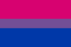 A flag with a pink stripe on top, a purple stripe in the middle, and a blue stripes on the bottom. The pink and blue stripes are both equal length but the purple stripe is thinner than the other stripes.