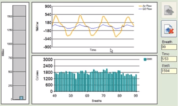 BodyGem(R) software gives a breath-by-breath feedback for tidal volume, flow rate, and oxygen consumption
