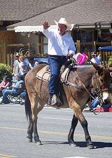 Roy Ashburn riding in the annual Bishop Mule Days parade