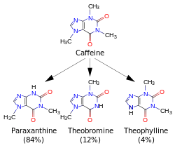 A diagram featuring 4 skeletal chemical formulas. Top (caffeine) relates to similar compounds paraxanthine, theobromine and theophylline.