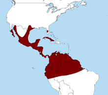 Map showing the range of Caracara cheriway