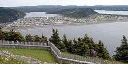 Placentia from Castle Hill