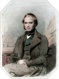 Three quarter length portrait of Darwin aged about 30, with straight brown hair receding from his high forehead and long side-whiskers, smiling quietly, in wide lapelled jacket, waistcoat and high collar with cravat.