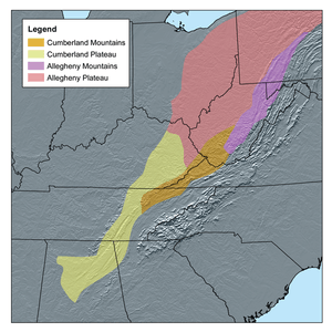 A map illustrating the Allegheny Plateau and the Allegheny and Cumberland mountain ranges of the Appalachian Mountains