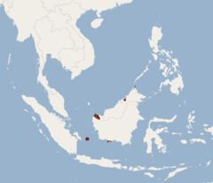 Map showing range of Pipistrellus vordermanni