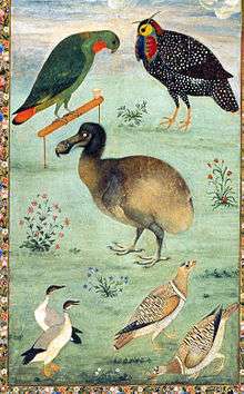 Painting of a dodo among native Indian birds