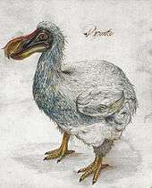 Painting of a grey dodo, captioned with the word "Dronte"