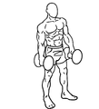 Dumbbell-lateral-raises-2.png