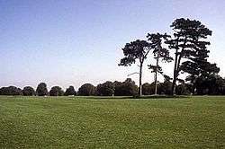 A view of Durdham Down, a large area of parkland.