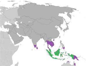 Native distribution of D. zibethinus, the common durian