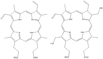 Left: protoporphyrin IX; Right: modification for ester linkage.