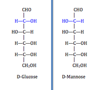 projection of D-glucose and D-mannose