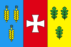 Flag of Dubno Raion