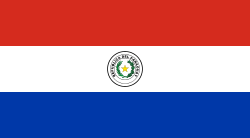 Flag_of_Paraguay.svg.png