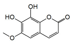 Chemical structure of fraxetin.