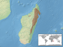 Map of Madagascar, showing a range covering the north and central northeast of the island between 600 m and 1,300 m above sea-level.