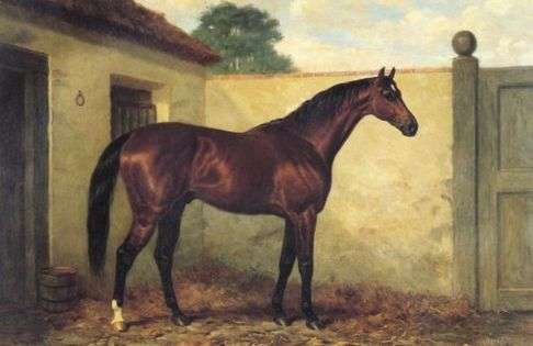 "Kingscraft Bay racehorse" (1877) by Henry Hall