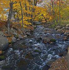 A stream with some rapids and rocks flows along a curved section between rocky shores with autumn leaves on the trees sheltering it
