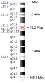 Map of Chromosome 8