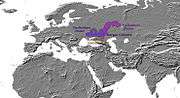IE languages 4000 BC