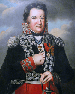 Portrait of a somewhat plump man with his right hand tucked in his coat in the style of Napoleon. His military uniform consists of a dark blue coat with a high collar, red cuffs, and much silver braid, and red breeches.