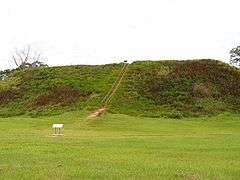 The Temple Mound
