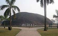 A very large hill behind two palm trees and a boulevard, people walking are about one fifth the hill's height