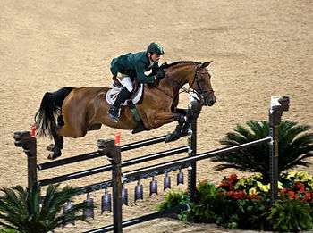 A brown horse with a rider in mid-air over a jump, surrounded by potted plants, in a dirt ring.