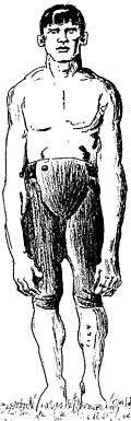 A sketch showing Donnelly's arms reaching to his knees