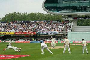 A view of a portion of a cricket ground during a Test match with a crowd in the background