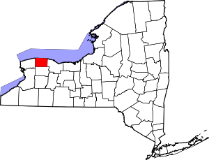 A map of New York showing county lines. A county in the northwest corner of the state along the Lake Ontario shoreline is highlighted in red.