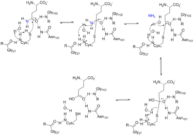 Arrow pushing mechanism for the reaction catalyzed by ATase.