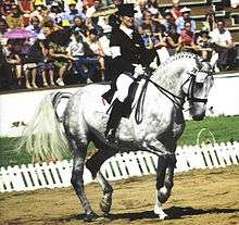 A gray horse performing in a dirt ring, ridden by a woman in a dark top hat, coat and boots and white pants. In the background a white fence, small grassy area and a seated crowd are visible.