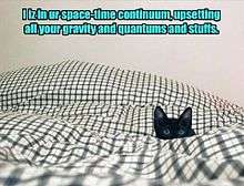 "I iz in ur space-time continuum, upsetting all your gravity and quantums and stuffs."