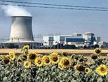 Photograph featuring sunflowers in front and a plant on the back. The plant has a wide smoking chimney with diameter comparable to its height.