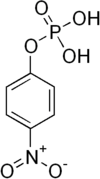 Skeletal formula of para-nitrophenylphosphate