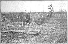  Black and white image of a man standing in a wasteland of massive tree stumps that stretch to the horizon. A few small tree trunks are standing.