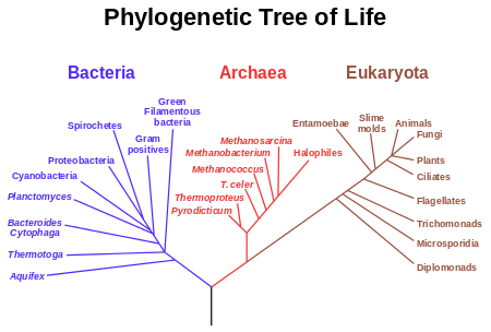 read ежегодник финно угорских